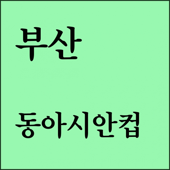 벤투호 2019 동아시안컵, 한국 경기 일정은? \'생중계 시간 동일\'