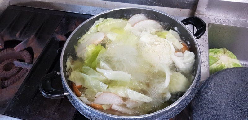 역류성 식도염에 효과가 있는 새콤달콤 임신 초기에 좋은 양배추즙 안마기 5