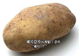  투자 Begins 시리즈 2