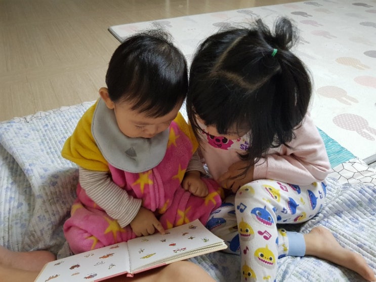  요미요미 귀요미들의 아침~