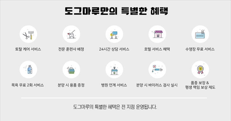 도그마루의 모든 것을 이야기하다! : 네이버 블로그 도그마루의 모든 것을 이야기하다! : 네이버 블로그