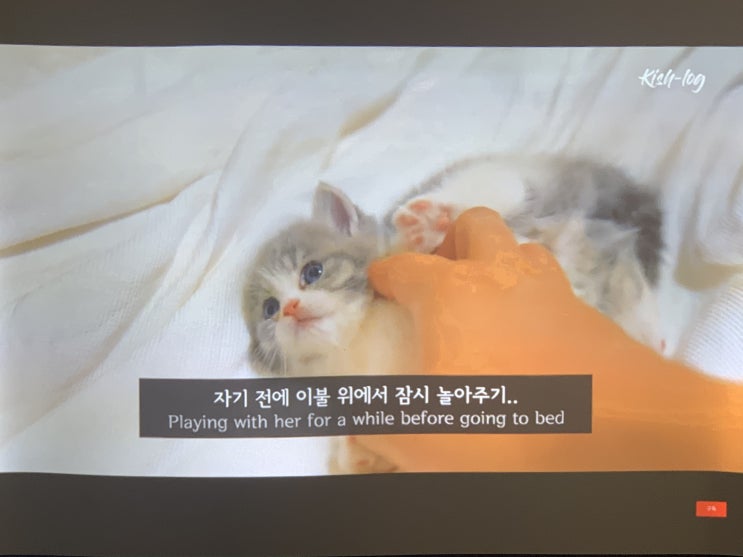  거실빔프로젝터 소음 작은 대화면 TV 추천