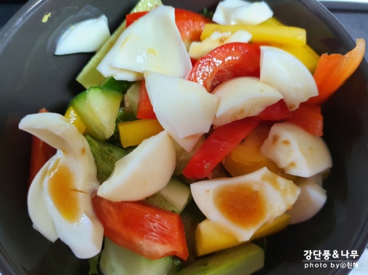  다이어트 3주차 기록 식단 포함 -4kg