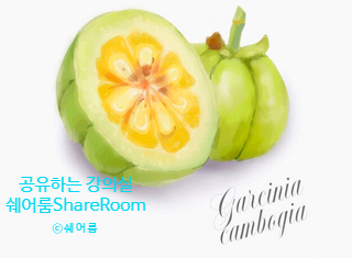  가르시니아가 다이어트에 좋다던데, 부작용이 많다는게 사실인가요?