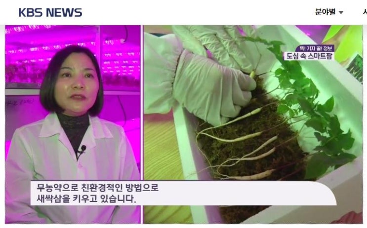  [세계미래신문] 해피팜, KBS 아침뉴스타임 ‘스마트팜 현주소’서 집중 소개