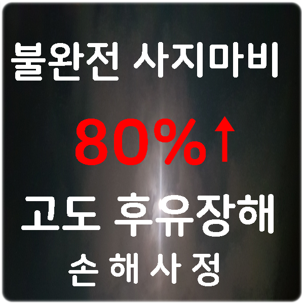  경추손상 불완전 사지마비 고도후유장해 실제 보상사례