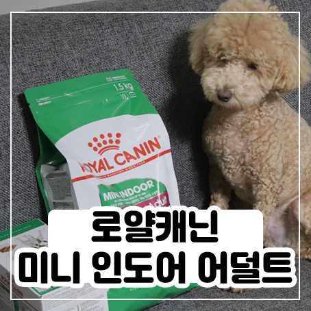 로얄캐닌 기호성 좋은 사료라서 잘 먹네요 :) 로얄캐닌 기호성 좋은 사료라서 잘 먹네요 :)