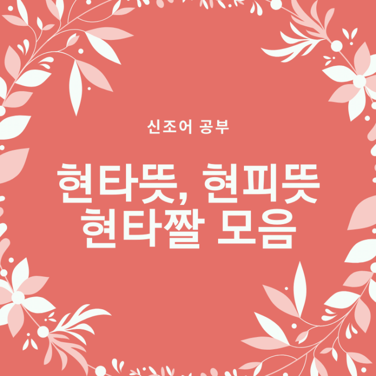  현타뜻 현타짤 모음 *귀염주의 , 현피뜻