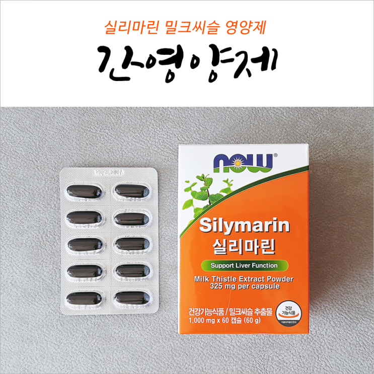  간을 위한 실리마린영양제