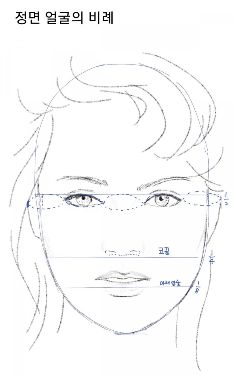 패션 일러스트 기초 얼굴그리기 : 네이버 블로그, image size:800x1280