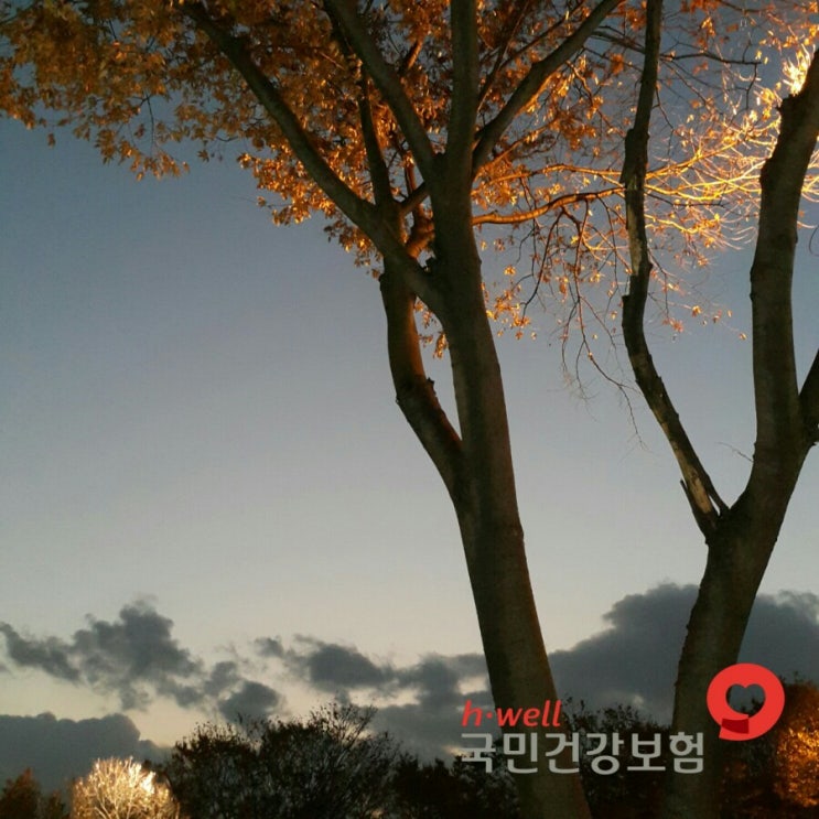  입주요양 노인장기요양등급 혜택