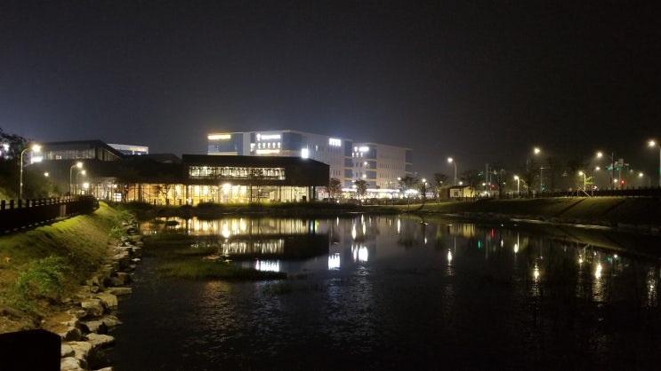  용인한숲시티 남사도서관 탐방기