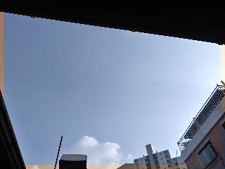  쉿! 씨크릿 감사일기 21일