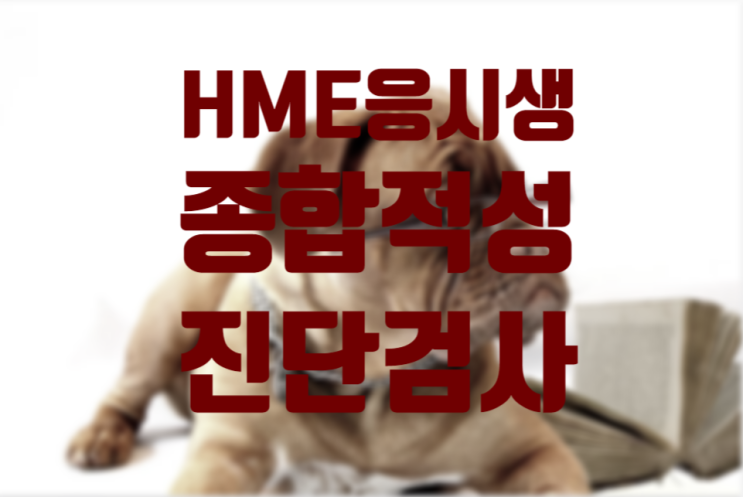  [한강신도시 운양동 초등 전문 온리유 학원]HME 종합적성진단검사 안내 초등전문학원 운양동수학학원 운양동영어학원 하늘빛중내신대비 리얼소수정예학원 운양동초등수학 운양동초등영어