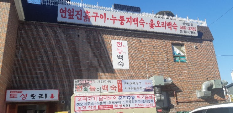  인천국제성모병원  근처맛집,토성오리