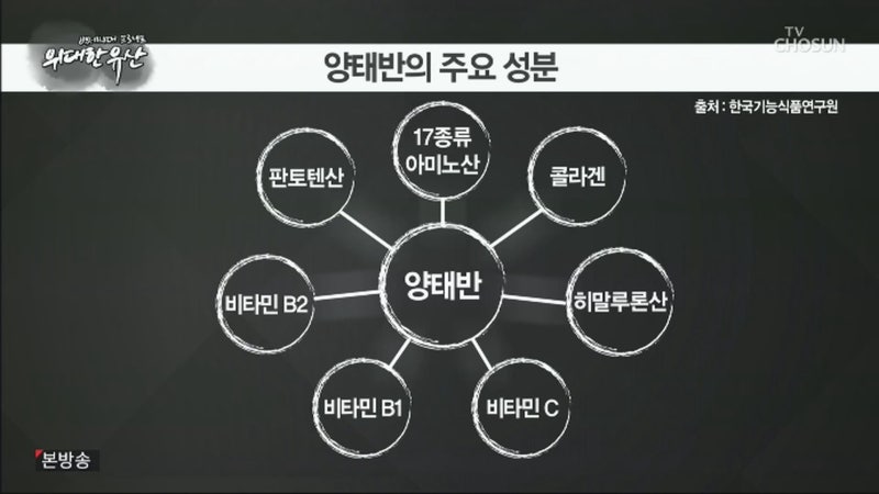 양태반 효능과 콜라겐 단백질이 풍부한 20배 고농축 양태반 가루 추천