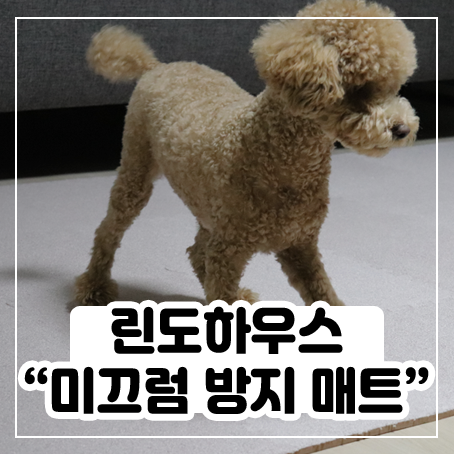 강아지 미끄럼 방지매트 - 린도하우스 조립해서 사용해봤어요 강아지 미끄럼 방지매트 - 린도하우스 조립해서 사용해봤어요