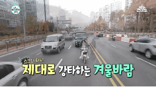 나혼자산다 남궁민 이장우 박정민 펭수 각자의 나혼자 사는 법 나혼자산다 남궁민 이장우 박정민 펭수 각자의 나혼자 사는 법