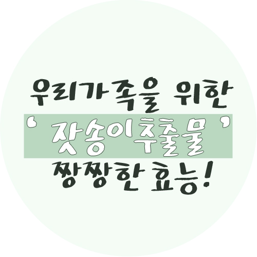  특허받은 잣송이추출물과 원적외선 효과