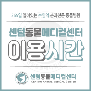 [이용 시간] 부산 수영역 동물병원 센텀동물메디컬센터 (수영구 24시)