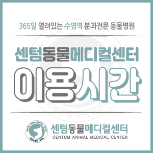  [이용 시간] 부산 수영역 동물병원 센텀동물메디컬센터 (수영구 24시)