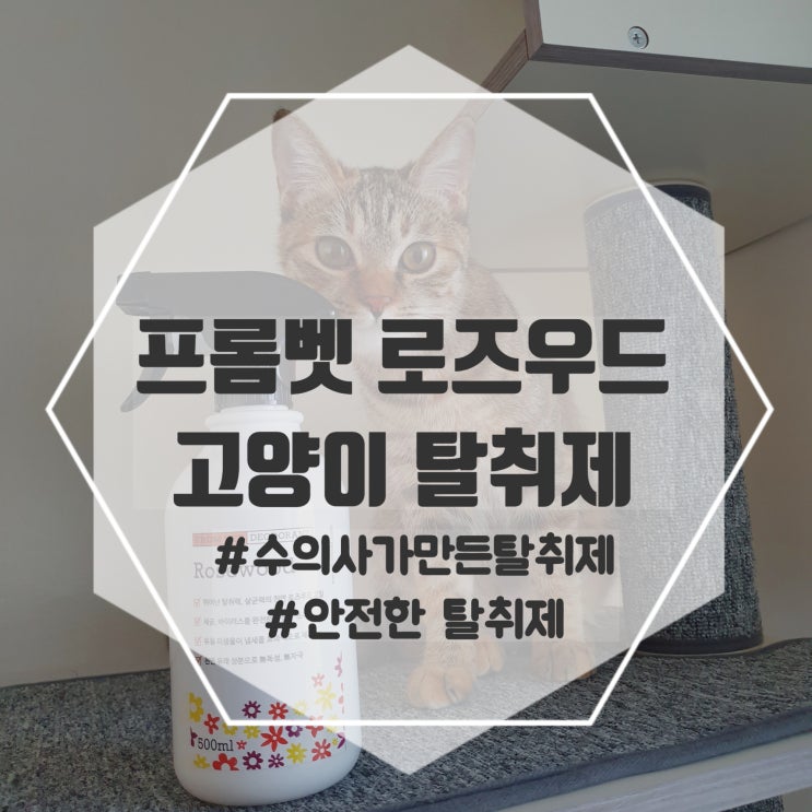  프롬벳 로즈우드 탈취제, 향도 좋고 수의사가 만들어 안전한 강아지 고양이 탈취제