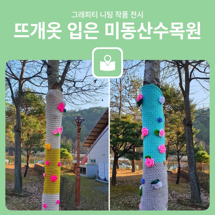 포근한 <b>뜨개옷 입은 나무</b>들! 미동산수목원 그래피티 니팅 작품... 