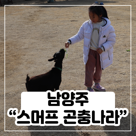 남양주 스머프곤충나라 다녀왔어요 남양주 스머프곤충나라 다녀왔어요