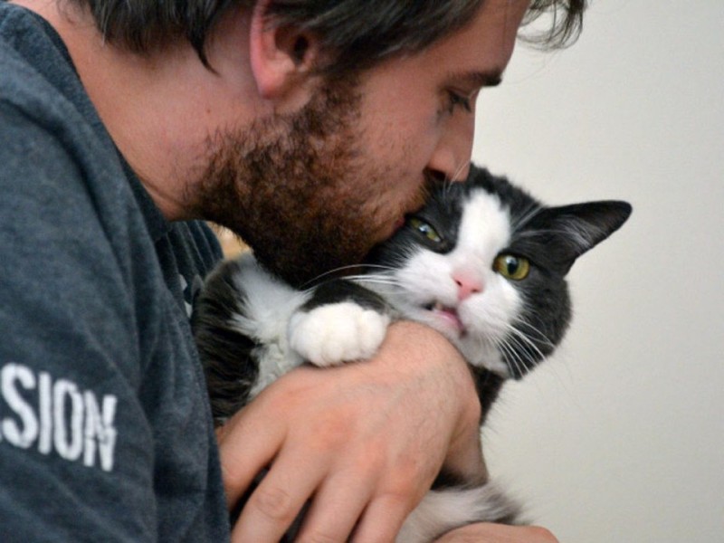 고양이가 싫어하는 소리♪ : 네이버 블로그