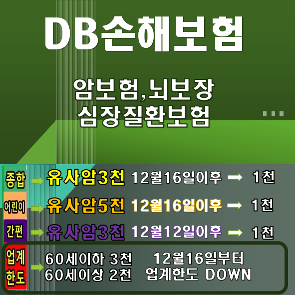  DB손해보험 -암보험,허혈성심장질환보험,뇌혈관질환보험