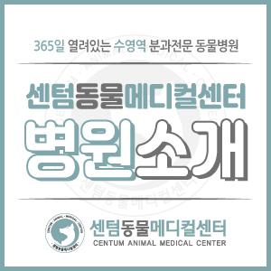[병원 소개] 부산 수영역 동물병원 센텀동물메디컬센터 (수영구 24시)