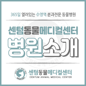  [병원 소개] 부산 수영역 동물병원 센텀동물메디컬센터 (수영구 24시)