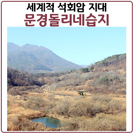 문경돌리네습지. 세계적으로도 희귀한 석회암 지대 문경돌리네습지. 세계적으로도 희귀한 석회암 지대
