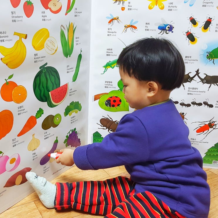  세이차트 세이펜적용 학습브로마이드 세이차트병풍으로 이중언어 익히기