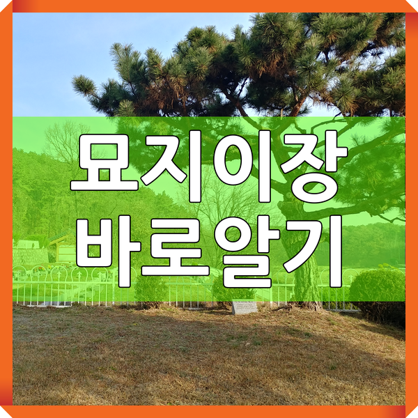  묘지이장 업체 선정부터 세부절차까지 알아보기