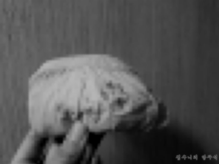  [매일매일 버리기]D+693_속옷