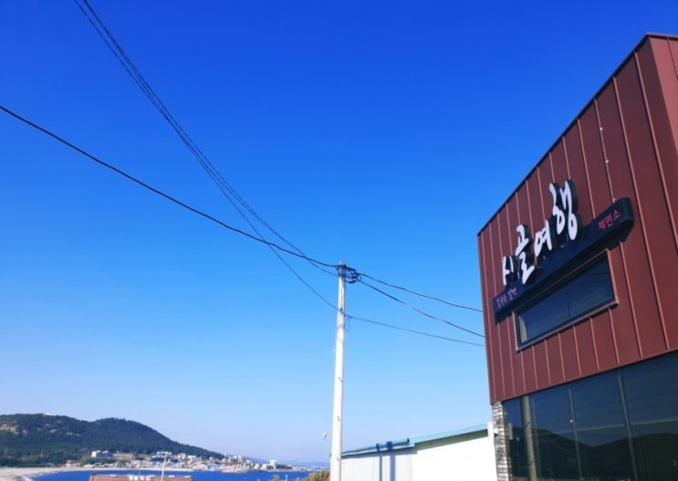  포항 바다보이는 칼국수 맛집 시골여행 송라점 후기 ( 포항송라맛집 )