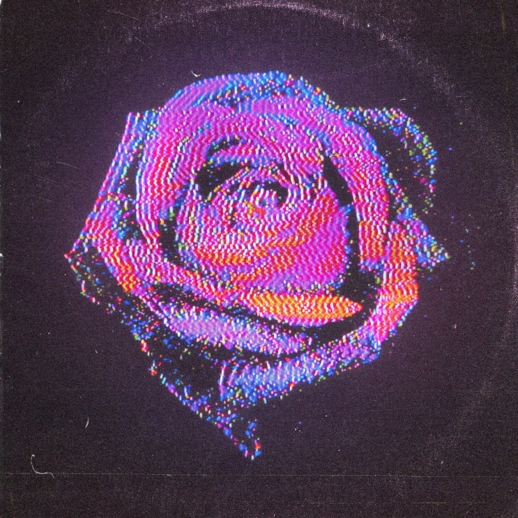 [Inner Wave] Rose, 2019