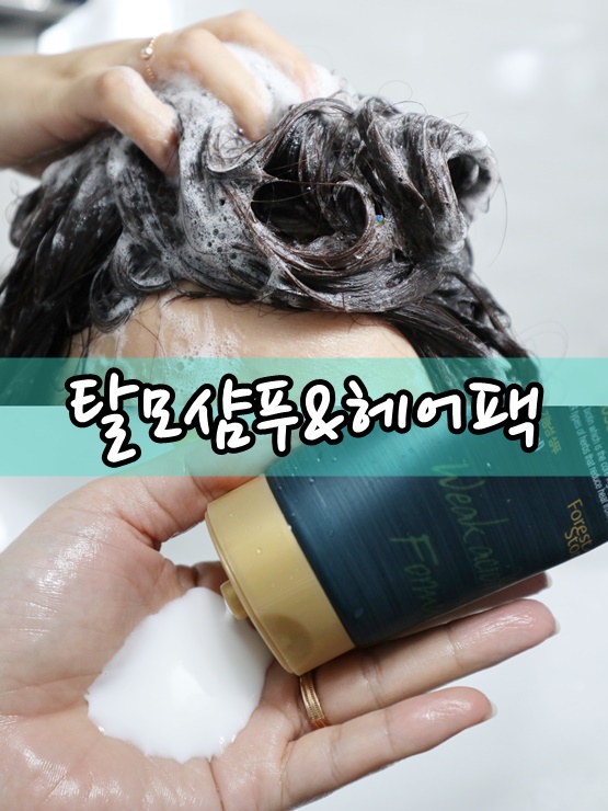  포레스트스토리 샴푸 & 헤어팩 탈모증상 완화 기능성