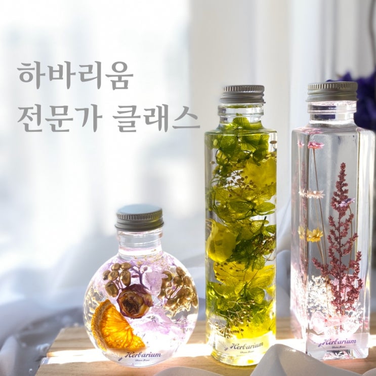  시들지 않는 꽃으로 담아내는 하바리움 전문가 자격증 클래스 후기  :: 부산 수영 광안 플라워스튜디오Ohanaflower