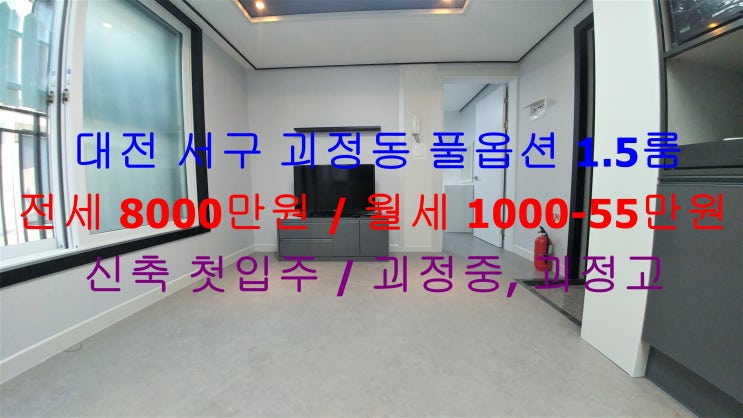  대전 서구 괴정동 신축 첫입주 풀옵션 1.5룸 (투룸식 원룸) 전세 , 월세 모두 가능한 매물입니다 ^^