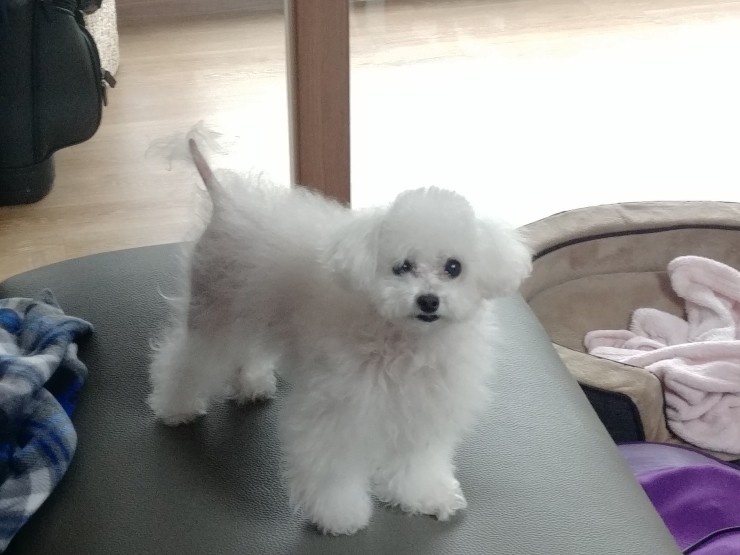  앙-하!! 그리고 근황과 생각들...