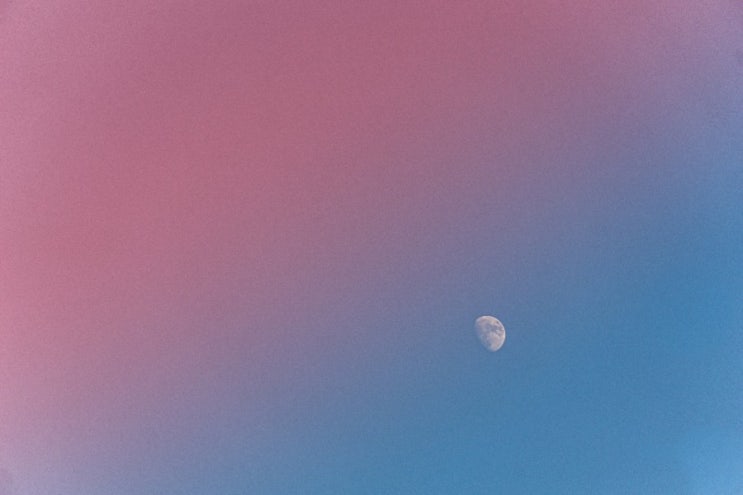  한장 80장