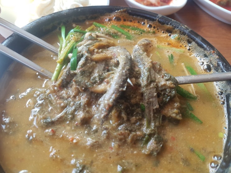  경기도 추어탕 맛집 원주 추어탕