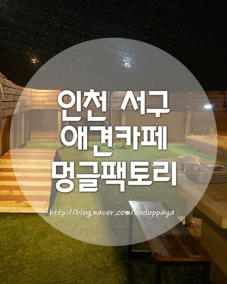  멍글팩토리 인천애견카페에서 꼬미쭌이 신나게 놀았어요