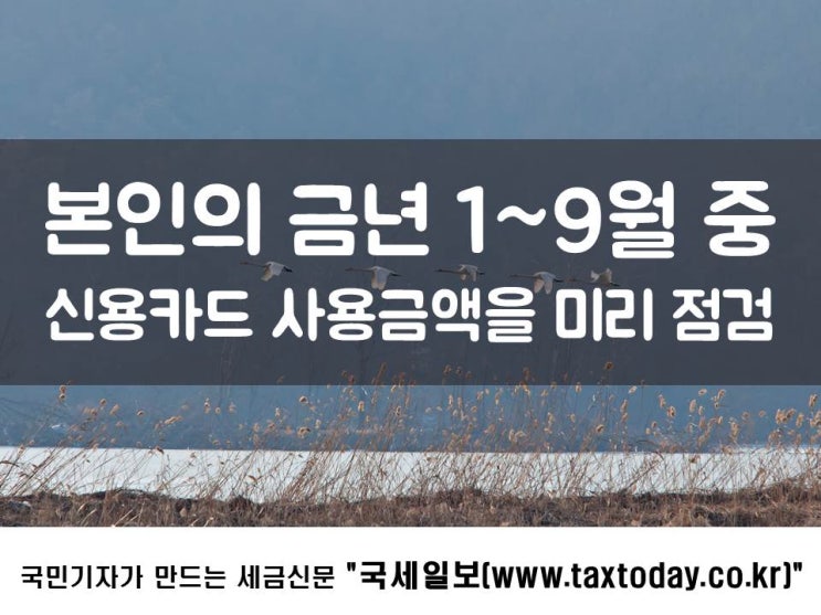 연말정산 환급금 늘어나는 카드 사용법