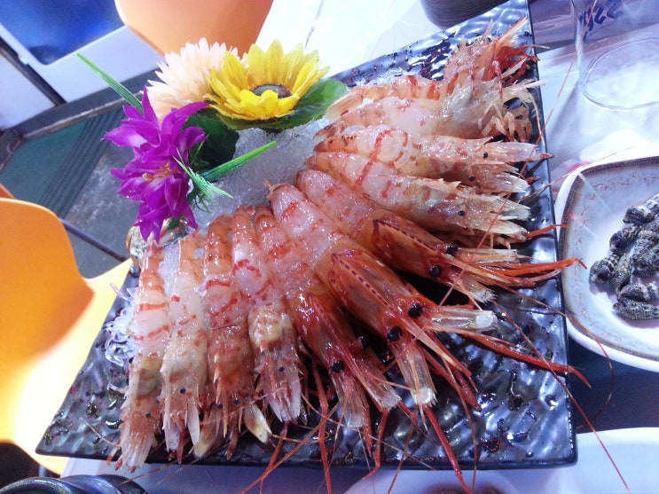  경상남도 포항에 와서 닭새우를 맛보고 왔네요.