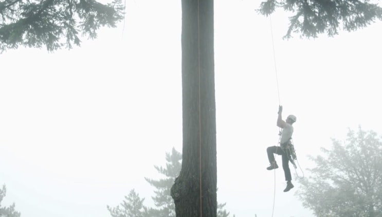  트리클라이밍(Treeclimbing)이란?