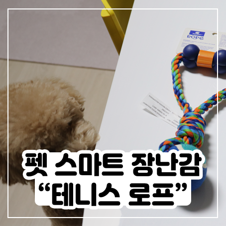 펫 스마트 장난감 - 테니스 로프 후기 펫 스마트 장난감 - 테니스 로프 후기