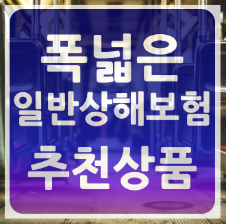  일반상해보험 가격부담 낮은 저렴한 상해보험 추천 회사로 골랐어요!